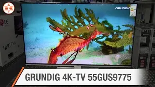 GRUNDIG Ultra-HD-TV 55GUS9775 - Jubil&auml;ums-Angebot der Woche