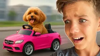 Mark&rsquo;s dog rides on the pink power wheel car