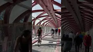 Peace Bridge Calgary Alberta #canadiancity #travel