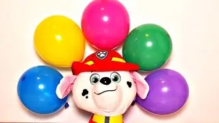 Learn Color Balloons Finger Nursery Rhymes  Collection w/ Paw Patrol - Balloon Popping Show Babies
