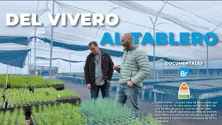 Documentales Br - Del vivero al tablero - Aglomerados Cotopaxi • Capítulo 1/3 
