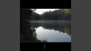 Von Holz, Harz und Asche