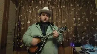 Где играют дети? (Для развлечений). Cat Stevens. 