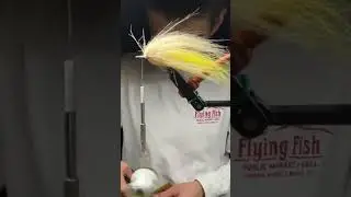 Quick bad hair day, simple fly but it catches fish #flyfishing #flytying #flytyingforbeginners