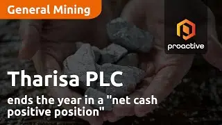 Tharisa ends the year in a 