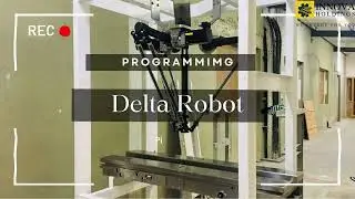 Delta Robot Programming