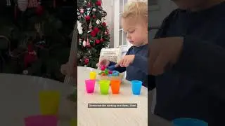 Color Sorting Fun (Ages 2-3) #ColorSorting #EarlyMathSkills #FineMotorDevelopment