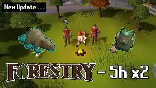 10 Hours Of Forestry (5h x2)