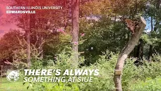There’s Always Something at SIUE | Campus Highlights & Events (9/12/25 Edition)