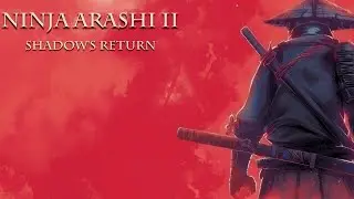 Ninja Arashi 2 Shadow's Return Level 9