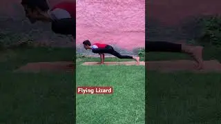 Flying Lizard | EkapadaVakshaMayurasana| #yoga #flyinglizard #youtubeshorts