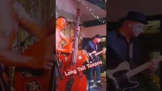 Long Tall Texans @ The Anchor, Wingham - 17/05/2025 #grassroots #livemusic #psychobilly #rockabilly