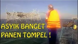 Dam Abang Pedotan! Timing yang Tepat - PLUNG NYUT !
