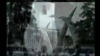 Ringtone-Maisha
