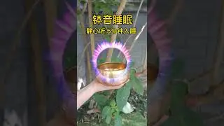 Singing Bowl + Brainwaves = Better Sleep in 7 Days 🌙💫 #ytshorts #shorts #fypyoutube #fyp