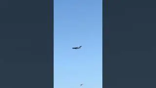 C-17 Globemaster Over St. Pete ✈️ | Heavy Jet Flyover in Florida Skies