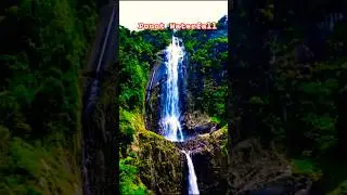 tourism to enjoy the highest waterfall in Indonesia#shorts#viralshorts#shortsfeed