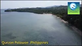 Quezon , Palawan Beachfront For Sale PHp: 3 Million Pesos