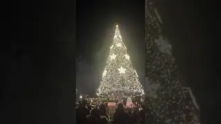 スターブライト・クリスマス