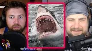 The 12 Strongest Bite Forces in The Animal Kingdom