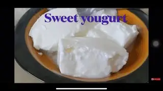 Creamy Indulgence: Exploring the World of Thick Yogurt