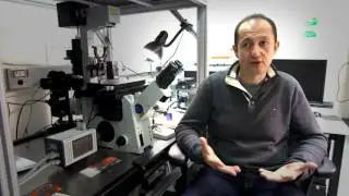 Using DNA to drive the self assembly of materials