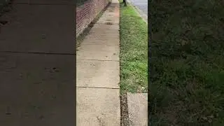 S. PICKETT & HOME DEPOT INTERSECTION UPGRADE
