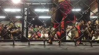Mma dctiger