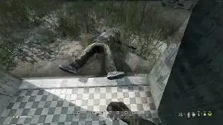 DayZ 6vs1