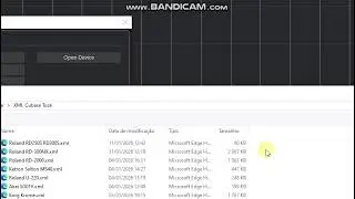 Roland RD 250S RD 300S Cubase Script Sound List