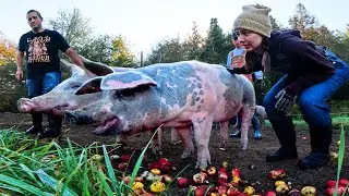 THIS is Why City People Move to FARMS
