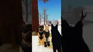 Hehehe