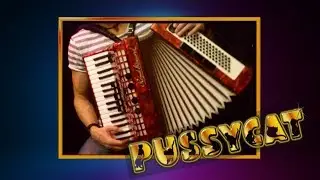 Pussycat - Mississippi ( accordion cover )