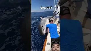 dangerous shark attack on Man oh my god #shorts #shortsvideo #shortvideo #shortsfeed