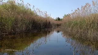 Kayaking with the Action pro 5 camera part 5