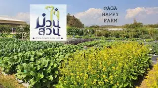 เดินชมแปลงผักสาธิต สวยน่าปลูกทุกสายพันธุ์ เที่ยวงานม่วนใจ๋ในสวน 2026 @AGA Happy Farm 💚Hatley Garden