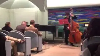Fabio Luppi - Subsonica per contrabbasso solo