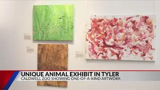 Unique Tyler art show features paintings by Caldwell Zoo animals