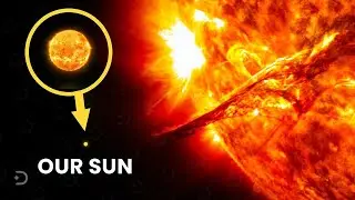 NASA Discovers A New Unbelievably Big Star. Size Comparison 2021