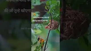 neha yadav 90054