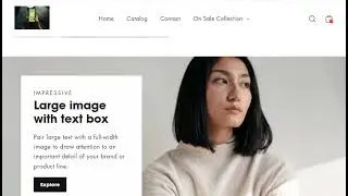 Motion theme Shopify demo