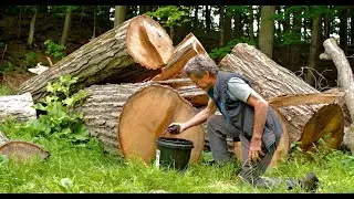 Forests | Video Production & Storytelling Experts in Maine