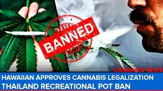 Thailand Recreational Pot Ban. Drug Ads in  Meta&rsquo;s Facebook. Hawaiian Approves Cannabis Legalization
