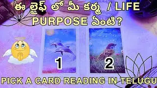 pick a card reading | ఈ లైఫ్ లో మీ కర్మ  / LIFE PURPOSE ఏంటి?