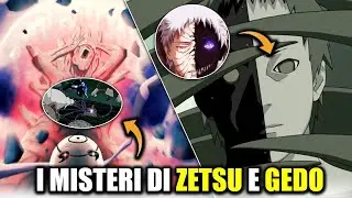 LA STORIA E LE ABILITA DI ZETSU E LA STATUA DIABOLICA