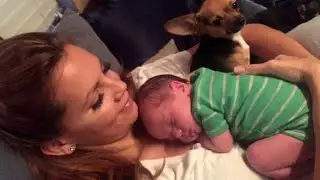 Local 10's Jacey Birch speaks out about son's kidney condition