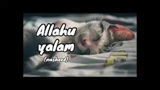 Allahu Yalam (Slowed & Reverb) || Vocal Only Nasheed