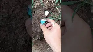Encontr&eacute; un Pitufo dentro de una piscina abandonada bajo mi jard&iacute;n con mi perro #piscinas