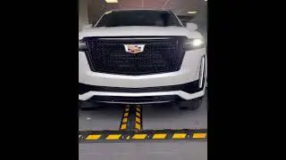 UVeye Automatic Vehicle Inspection