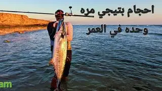 Big Kingfish, Brutal Fight #fishing #casting #jiging #fish #reels #shorts #gianttrevally 